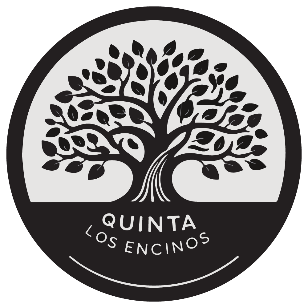 logoweb